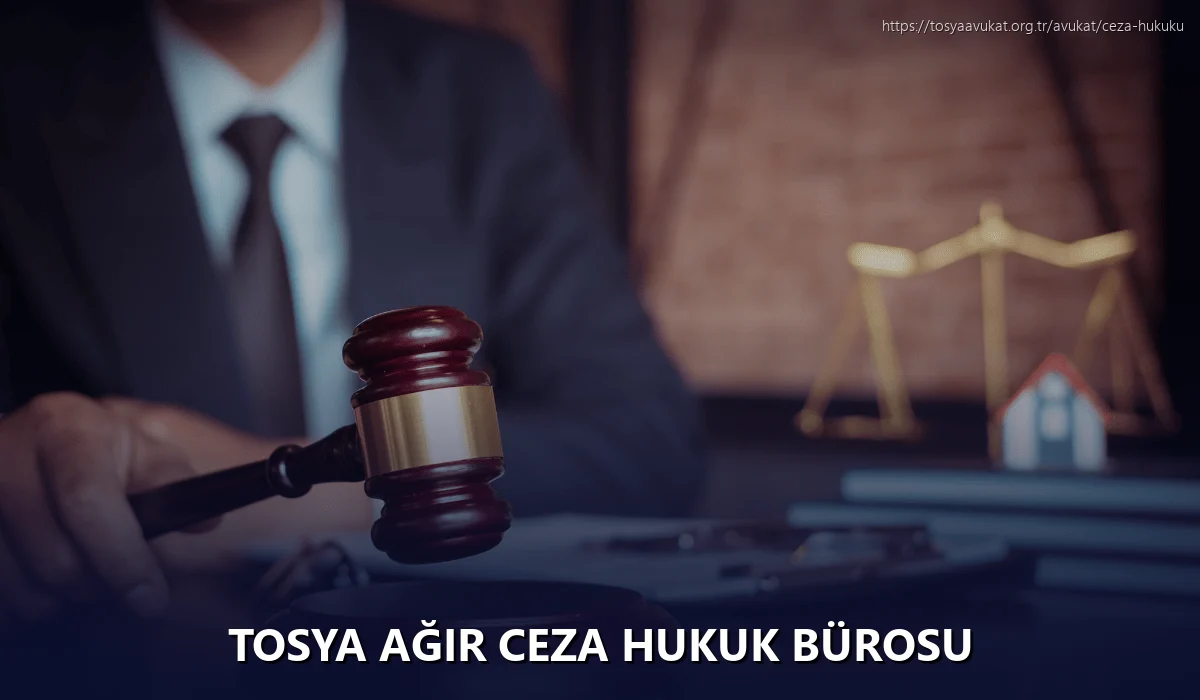 Tosya Ağır Ceza Hukuk Bürosu