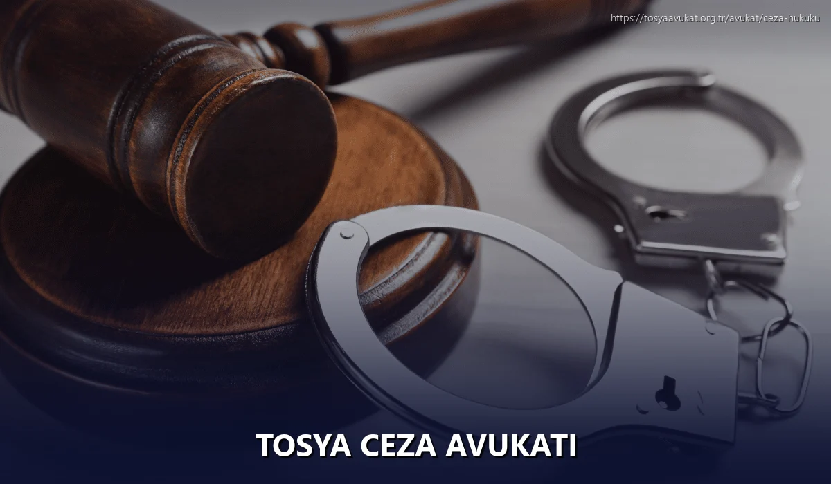 Tosya Ceza Avukatı
