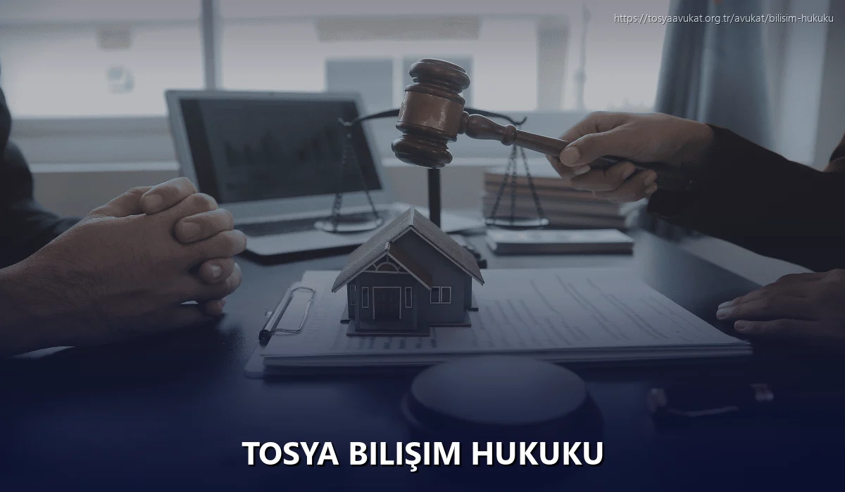 Tosya Bilişim Hukuku