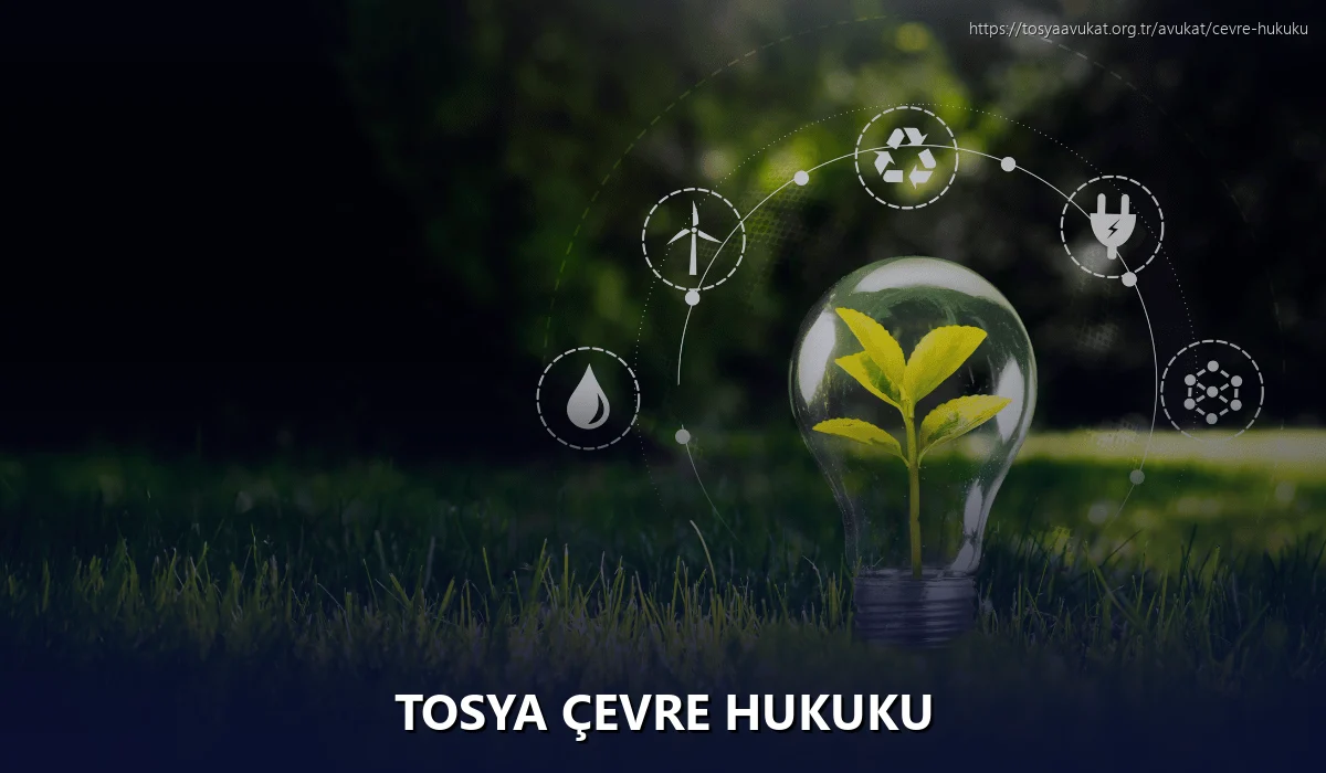 Tosya Çevre Hukuku